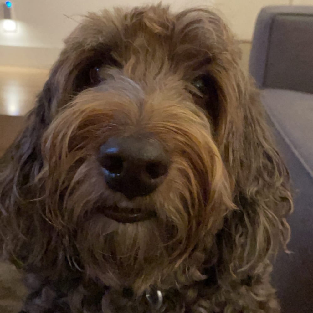 Meet your Posher, Samantha